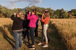 Utah Birds and Ecosystems